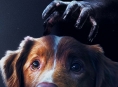 &Theta;&alpha; &mu;&pi;&omicron;&rho;&epsilon;ί&tau;&epsilon; &nu;&alpha; &pi;&alpha;&rho;&alpha;&kappa;&omicron;&lambda;&omicron;&upsilon;&theta;ή&sigma;&epsilon;&tau;&epsilon; &tau;&omicron; Good Boy &sigma;&tau;&omicron; Disney+ &mu;έ&chi;&rho;&iota; &tau;&omicron; &tau;έ&lambda;&omicron;&sigmaf; &Alpha;&pi;&rho;&iota;&lambda;ί&omicron;&upsilon;