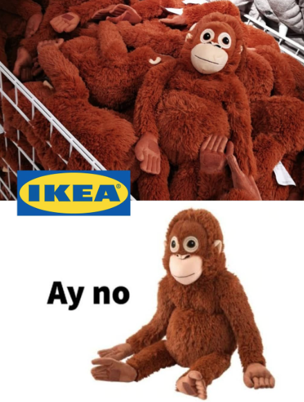 Ποιος είναι ο Punch the Monkey; Ο νεαρός μακάκος που έχει γίνει σχεδόν πιο διάσημος από τον Ντόναλντ Τραμπ