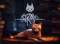 &Tau;&omicron; Stray &epsilon;ί&nu;&alpha;&iota; &tau;ώ&rho;&alpha; &delta;&iota;&alpha;&theta;έ&sigma;&iota;&mu;&omicron; &sigma;&tau;&omicron; Xbox