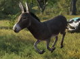 &Tau;&omicron; &gamma;&alpha;ϊ&delta;&omicron;ύ&rho;&iota; &pi;&omicron;&upsilon; &delta;&iota;&alpha;&mu;ό&rho;&phi;&omega;&sigma;&epsilon; &gamma;&iota;&alpha; &tau;&omicron; Donkey &sigma;&tau;&omicron; Shrek έ&chi;&epsilon;&iota; &pi;&epsilon;&theta;ά&nu;&epsilon;&iota;