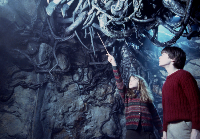 Harry Potter and the Philosopher's Stone