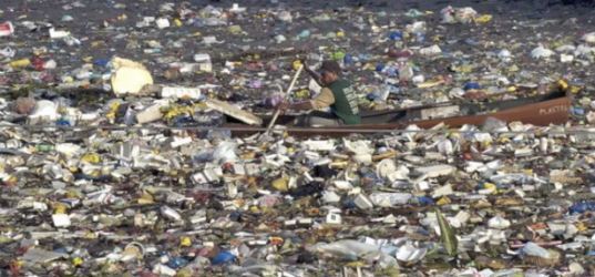 Το Great Pacific Garbage Patch έχει γίνει ένα πλωτό οικοσύστημα