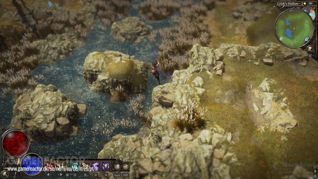 Darkhaven