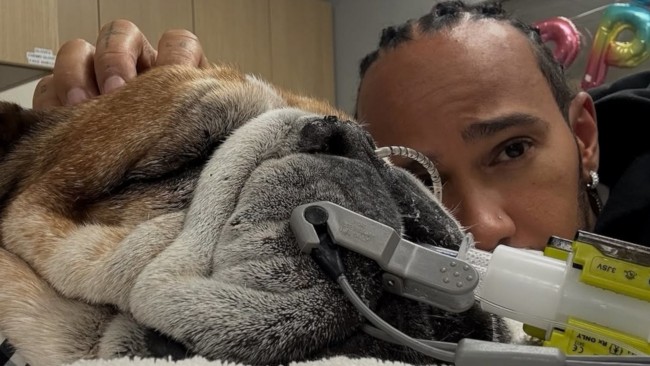 Ο σκύλος του Lewis Hamilton, Roscoe, βρίσκεται σε κώμα: Ο πρωταθλητής της Formula 1 μοιράζεται ένα εγκάρδιο μήνυμα