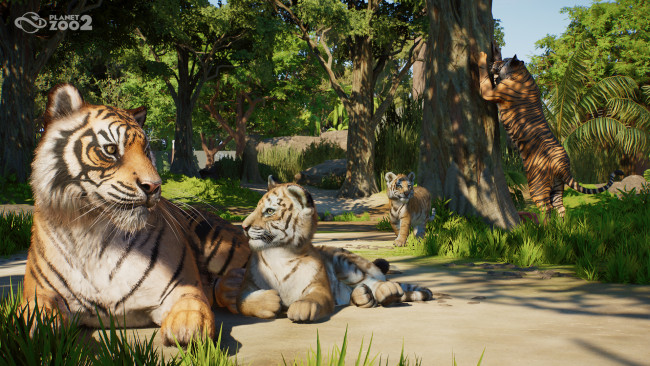 Planet Zoo 2 Προεπισκόπηση: Ένα φιλόδοξο σίκουελ που εξυψώνει τη φόρμουλα του Πλανήτη