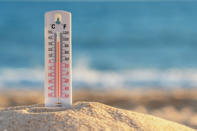 Η Γερμανία έχει καταγράψει πάνω από 5.000 θανάτους που σχετίζονται με τη ζέστη ήδη φέτος