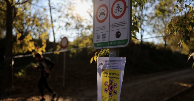 Κτηνίατροι της ΕΕ για την αντιμετώπιση της επιδημίας πανώλης των χοίρων στη Βαρκελώνη