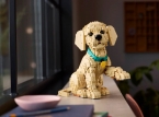 &Eta; Lego &pi;&alpha;&rho;&omicron;&upsilon;&sigma;&iota;ά&zeta;&epsilon;&iota; &tau;&omicron; &alpha;&xi;&iota;&omicron;&lambda;ά&tau;&rho;&epsilon;&upsilon;&tau;&omicron; &sigma;&epsilon;&tau; Golden Retriever Puppy
