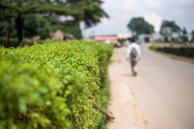 50 από τους 300 μαθητές καθολικών σχολείων που απήχθησαν στη Νιγηρία καταφέρνουν να δραπετεύσουν (περίπου 250 εξακολουθούν να είναι αιχμάλωτοι)