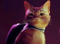 &Tau;&omicron; Stray &gamma;&omicron;&upsilon;&rho;&gamma;&omicron;&upsilon;&rho;ί&zeta;&epsilon;&iota; &sigma;&tau;&omicron; Xbox One &kappa;&alpha;&iota; &tau;&omicron; Xbox Series &tau;&omicron;&nu; &Alpha;ύ&gamma;&omicron;&upsilon;&sigma;&tau;&omicron;