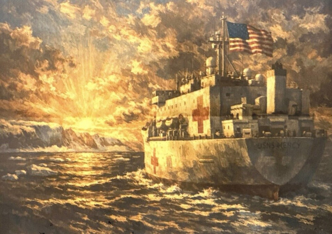 Ο Τραμπ προσφέρει νοσοκομειακό πλοίο στη Γροιλανδία, αλλά ο πρωθυπουργός της Γροιλανδίας λέει «όχι ευχαριστώ»